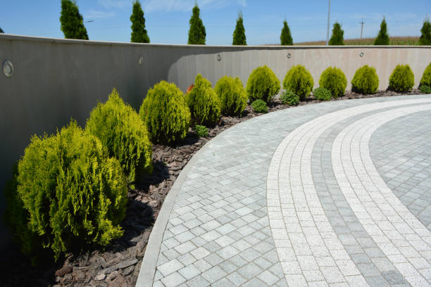 Driveway Repair Near Me in University Park, TX